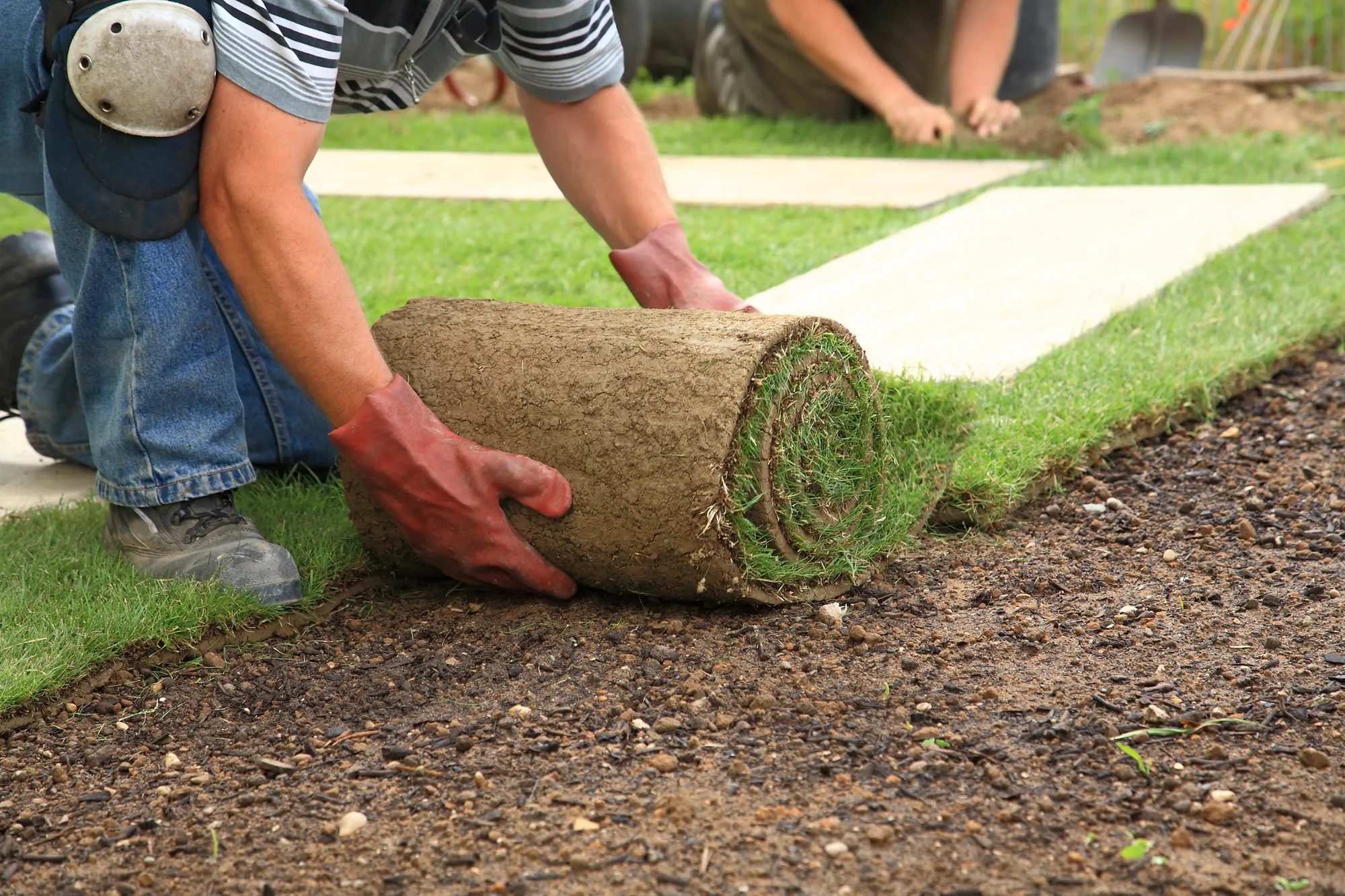 A tradesperson laying rolled turf along a new garden edge